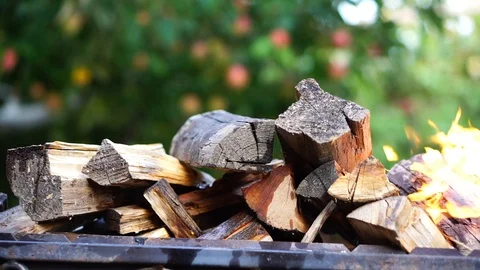 Kindle wood in the grill Stock Footage 94831404