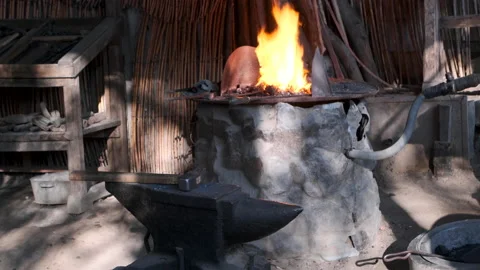 Kindling furs blacksmiths Stock Footage 170179815