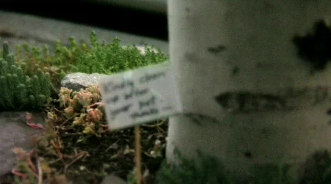 Kindly Clean Up 스톡 동영상 511366