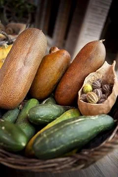 Kinds of cucumber Stock Photos
