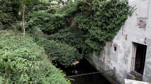 Kinematic framing Video stock 165454313