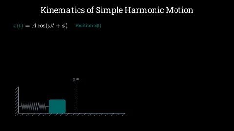 Kinematics of Simple Harmonic Motion 스톡 동영상 335764290