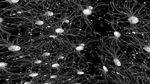 Kinetic Spheres Motion Mapping Stock Footage 24728645