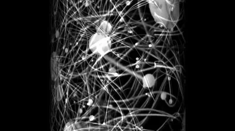 Kinetic Spheres Motion Mapping Vidéo 24728652