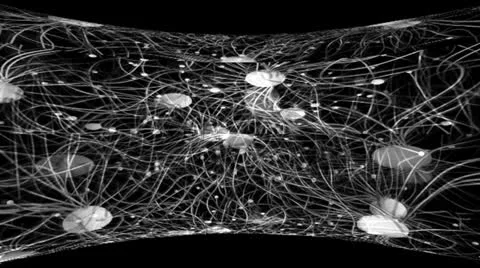 Kinetic Spheres Motion Mapping Видео 24728683