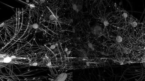 Kinetic Spheres Motion Mapping Stockbeeldmateriaal 24728854