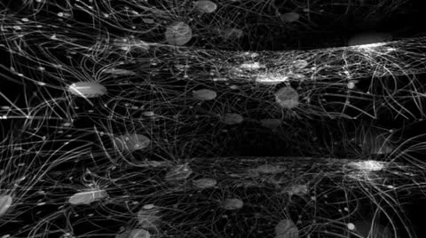 Kinetic Spheres Motion Mapping Stock Footage 24728887