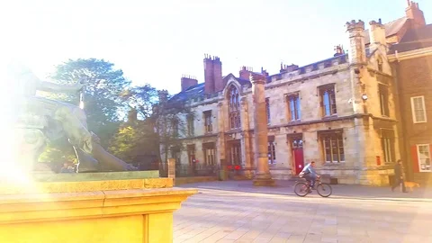 King Arthur 動画素材 102888117