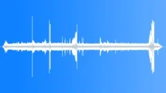 King Bird of ParadiseSound Effect