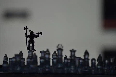 King of the Board 库存照片