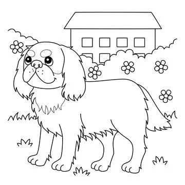 King Charles Spaniel Dog Coloring Page for Kids Stock Illustration