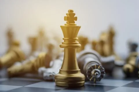 King chess on a chessboard Stock Photos
