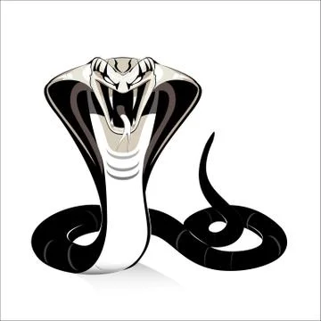 King cobra Stock Illustration