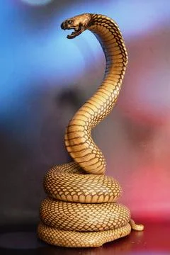 King Cobra Foto stock