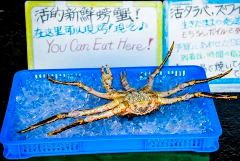 King crab on ice Stock Photos