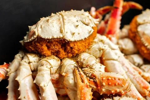 King crab with visible roe under protective shell Stock Photos