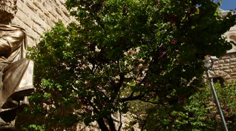 King David statue in Jerusalem Vídeo Stock 54077463