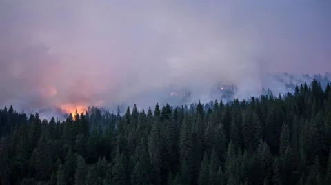 King Fire Burning Through Forest Timelapse 4K Stock Footage 41828405