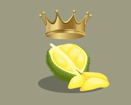 King fruit durian on flat style with king crown on top Stock Illustration