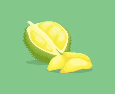 King fruit kingfruit single isolated object with vector graphic Stock Illustration