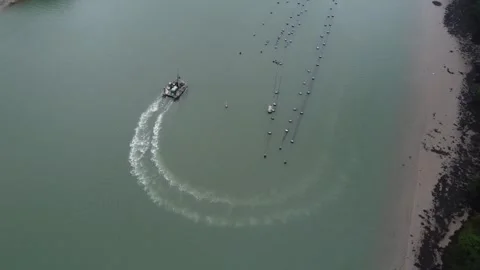 King Harry Ferry Video stock 262794019