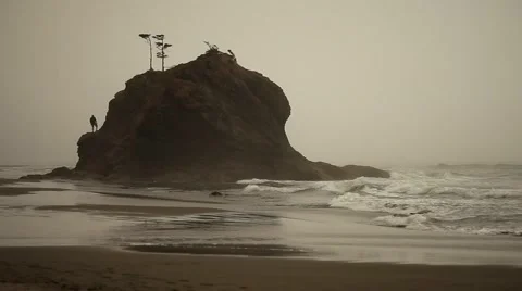 King of the Mountain Stock Footage 42309542