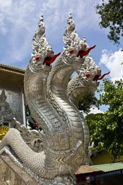 King of Nagas Stock Photos