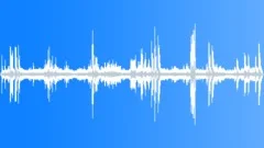 King Penguin Calls Sound Effect