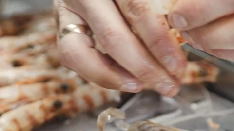 King prawns cooking in the kitchen Stock Footage 114211296