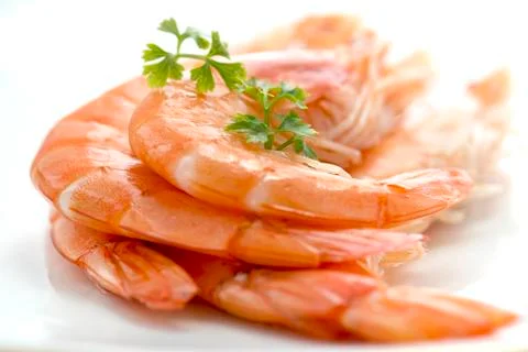 King Prawns Stock Photos