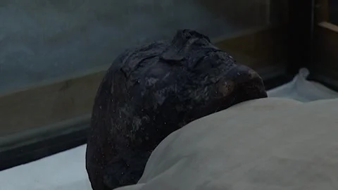 King Ramses IX Stock Footage 252834756