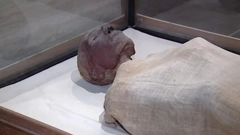 King Ramses V Stock-Footage 252834770