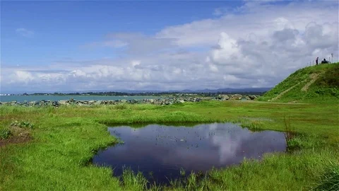 King Salmon White Clouds Video stock 74853908