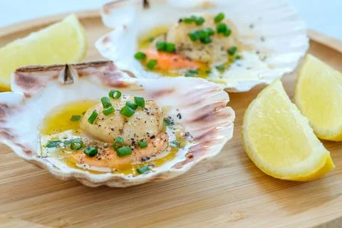 King scallop in shell Фото
