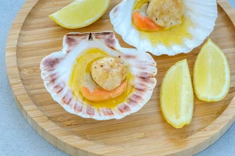 King scallop in shell Фото