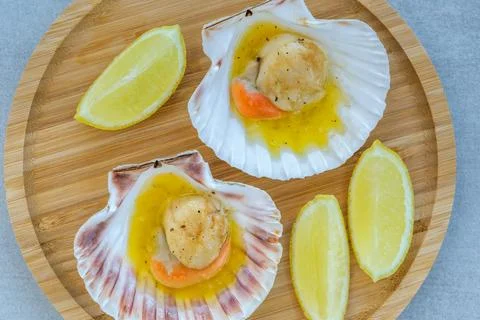 King scallop in shell Фото