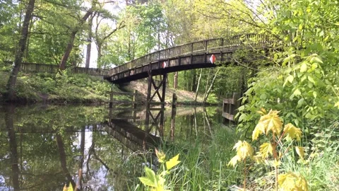 King Wusterhausem Stock Footage 273790018