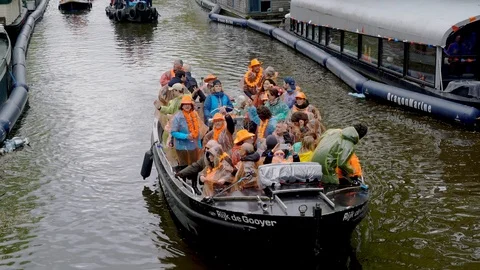 Kingday 2019 Video stock 109547604