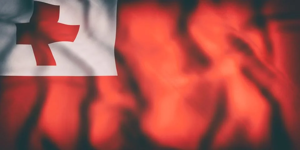 Kingdom of Tonga flag Stock Illustration
