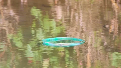 Kingfisher hunt Stock Footage 234248630