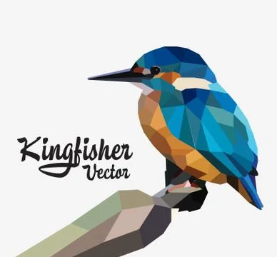 Kingfisher Stock Illustration