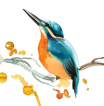 Kingfisher Stock Illustration