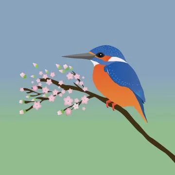 The kingfisher Illustrazione stock