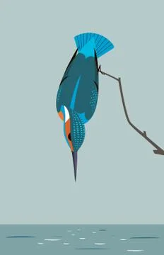 Kingfisher is looking for prey in the river Stock Illustration