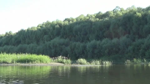 Kingfisher on a stick in the river 動画素材 66564306