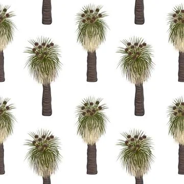 Kingia australis tree seamless pattern. The Bullanock Grass tree in blossom, Stock Illustration
