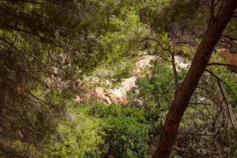 The king's path in navarra Stock Photos