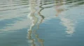 Kingston Fossil Plant Reflection 1 HD Footage