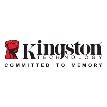 Kingston Technology memory pen drive illustration logo Stock Illustration