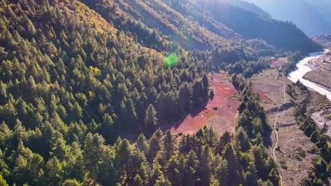 Kinnaur Deforestration Drone shot 動画素材 333058437